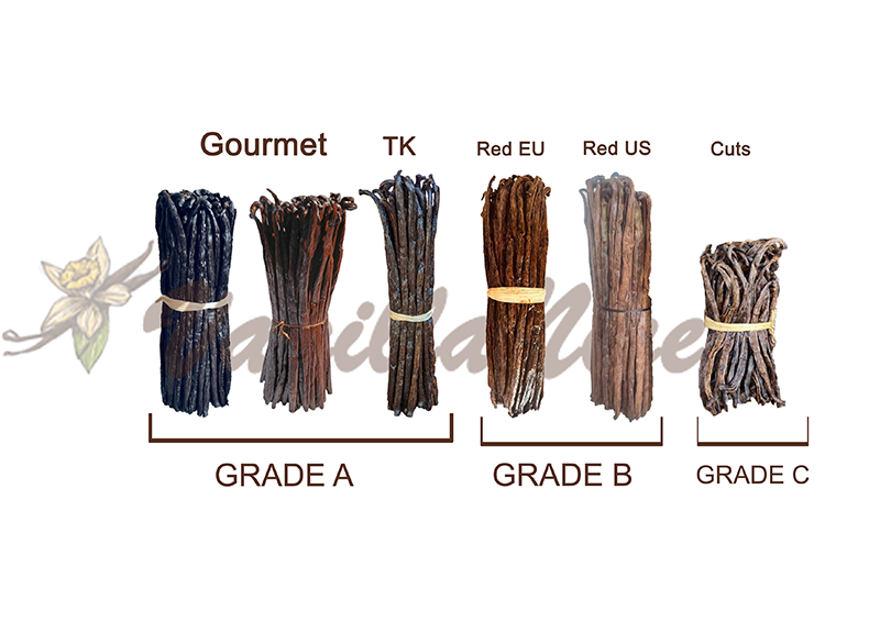 Vanillanice-Madagascar-vanilla-grading